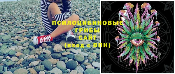 бошки Абаза